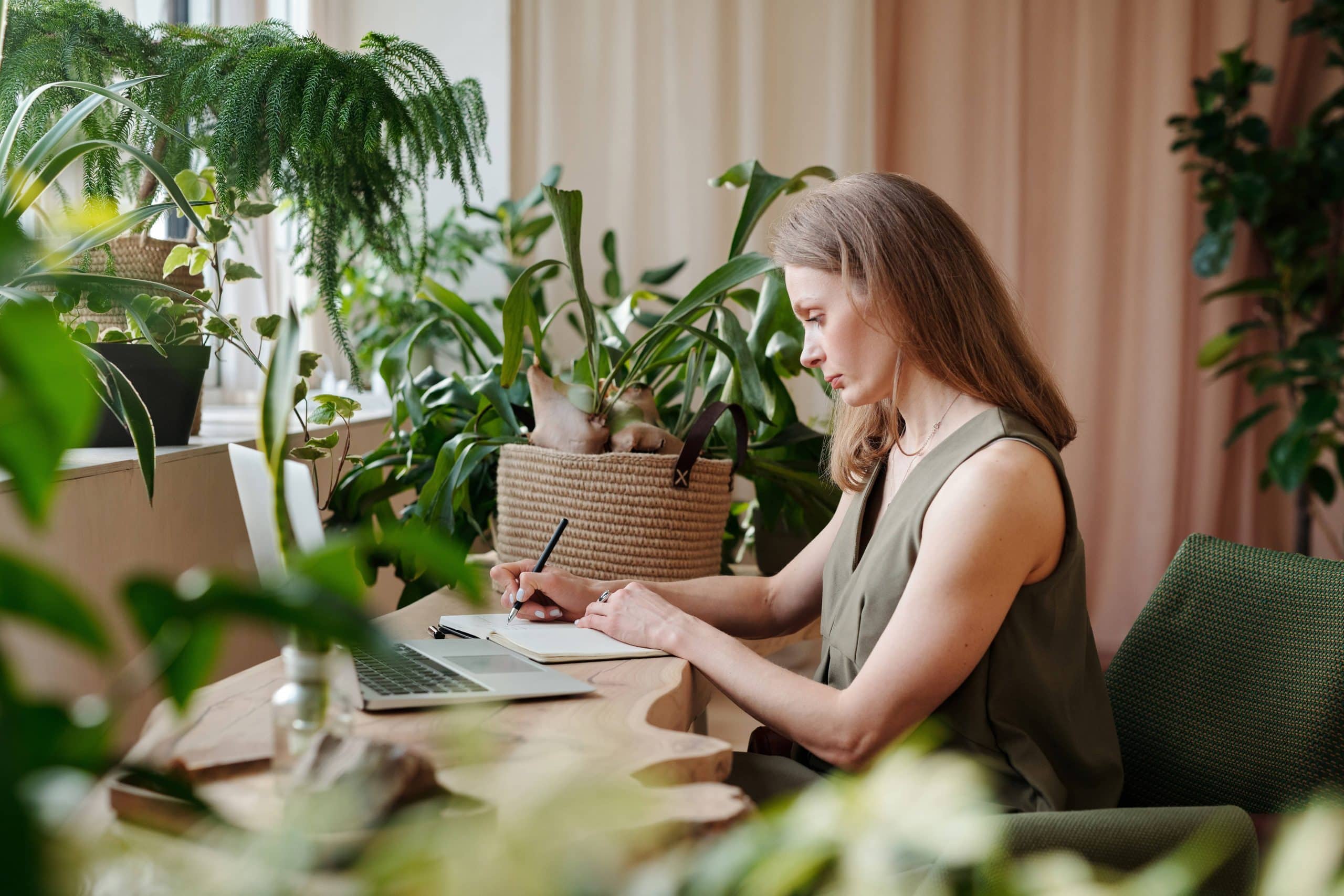 remèdes plantes